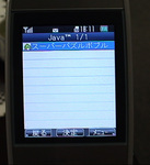 SA_java.jpg